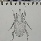 Mi proyecto del curso: Ilustración científica aplicada al diseño de patrones. Projekt z dziedziny Trad, c, jna ilustracja, Pattern design, Ilustracja c, frowa, Ilustracja naturalist i czna użytkownika Daniela Rodriguez - 20.09.2022