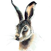 Mi proyecto del curso: Técnicas experimentales de acuarela para principiantes. Un progetto di Illustrazione tradizionale, Belle arti, Pittura ad acquerello e Illustrazione naturalistica di Nazaret Lopez Diaz - 20.09.2022