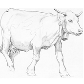 My project for course: Dynamic Animal Illustration for Children’s Stories. Un proyecto de Diseño de personajes, Dibujo a lápiz, Dibujo e Ilustración infantil de Rosane Badan - 22.09.2022