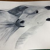 Horse in aquarel. Painting project by Miranda - 09.23.2022