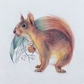 My project for course: Surrealist Illustration Inspired by Nature. Un projet de Illustration traditionnelle, Dessin au cra, on, Dessin, Dessin artistique, Illustration naturaliste, Dessin aux cra , et ons de couleur de Ola Fijałkowska - 23.09.2022