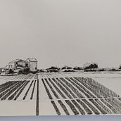 Dessins du cours. Traditional illustration, Sketching, Drawing, Sketchbook & Ink Illustration project by Sébastien - 09.23.2022