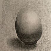 My project for course: Naturalistic Animal Drawing with Graphite Pencil. Traditional illustration, Pencil Drawing, Drawing, and Naturalistic Illustration project by jasonshields - 09.24.2022