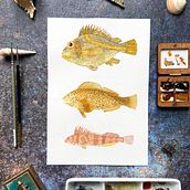 Pescaditos Vintage Ein Projekt aus dem Bereich Aquarellmalerei von Mayo Moreno - 26.09.2022