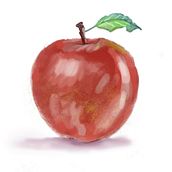 Apple 2. Projekt z dziedziny Trad, c i jna ilustracja użytkownika Christopher Wood - 26.09.2022