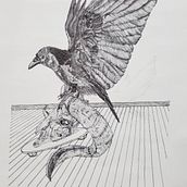 Mi proyecto del curso: Ilustración naturalista con bolígrafo. Traditional illustration, Drawing, Realistic Drawing, and Naturalistic Illustration project by Zitlaly Atenea Bautista Galván - 09.27.2022