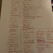 DÜlÜ: homenaje a las lideresas indígenas y su lucha por todas las mujeres ecuatorianas. . Design vestimentar de Ivonne Morales - 09.27.2022