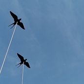 Come le rondini. Un projet de Sculpture , et Art conceptuel de Lorenzo Gnata - 28.09.2022