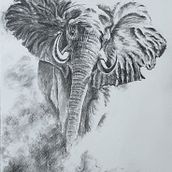 Charcoal drawings. Traditional illustration, and Fine Arts project by Lilia Birnaz - 09.28.2022