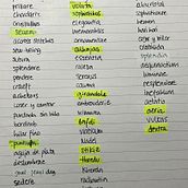 Naming para pequeña marca de bisutería artesanal cosida a mano en soutache (con cordones y cristales). Un proyecto de Publicidad, Br, ing e Identidad, Consultoría creativa, Gestión del diseño y Naming de adriana_rufrancos - 29.09.2022