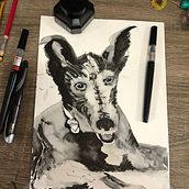 My project for course: Mindful Painting with India Ink. Projekt z dziedziny Trad, c, jna ilustracja,  Sztuki piękne,  Malarstwo, R, sunek ołówkiem, Portret,  R, sunek art, st, czn,  R i sunek atramentem użytkownika Katharine Russell - 29.09.2022