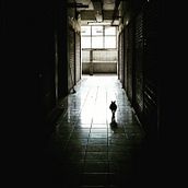 Il mio progetto del corso: Palestra di scrittura: dal foglio bianco alla pratica quotidiana. Projekt z dziedziny Pisanie, Kreat, wność, Stor, telling, Narracja, Kreat i wne pisanie użytkownika Valeria Gobbi - 30.09.2022