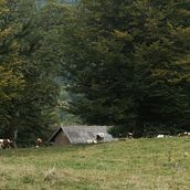 Places. Un proyecto de Fotografía de Bartek Jędrzejczak - 01.10.2022