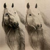 Grayscale horse watercolor. Un proyecto de Bellas Artes de Jennifer Hackett - 01.10.2022