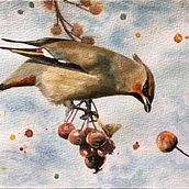 Mi proyecto del curso: Acuarela artística para ilustración de aves Ein Projekt aus dem Bereich Traditionelle Illustration, Aquarellmalerei, Realistische Zeichnung und Naturalistische Illustration von Lara Barbali - 01.10.2022