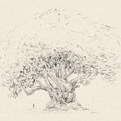 Tree sketches. Un proyecto de Dibujo, Dibujo a lápiz y Bocetado de Bartek Jędrzejczak - 02.10.2022