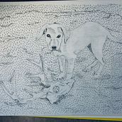 Hazel the Shed Dog. Een project van Traditionele illustratie van Sue Oberstar - 02.10.2022