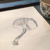 Fungi. Un proyecto de Ilustración tradicional de Jane Håkonsson - 02.10.2022