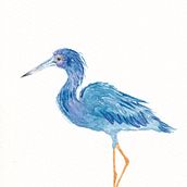 Mijn project van de cursus: Naturalistische vogels illustreren met aquarel. Ilustração tradicional, Pintura em aquarela, Desenho realista e Ilustração naturalista projeto de madewitheer - 03.10.2022