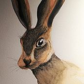 Meu projeto do curso: Técnicas experimentais de aquarela para principiantes. Traditional illustration, Fine Arts, Watercolor Painting, and Naturalistic Illustration project by Diana Santos - 02.25.2023