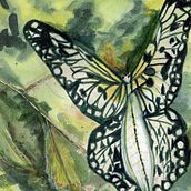 My project for course: Illustrating the Natural World with Watercolor and Charcoal. Traditional illustration, Painting, and Naturalistic Illustration project by Mariyn Weimer - 10.03.2022