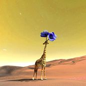 Mi proyecto del curso: Fotomontaje e ilustraciones fantásticas en Photoshop . Fotografie, Colaj, Retușarea fotografiilor, Ilustrație digitală, Compoziție fotografică și Fotomontaj de isabelle - 09.24.2022