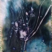 Il mio progetto del corso: Cianotipia: tecnica di stampa con la luce. Arts, Crafts, Fine Arts, Printing, DIY, and Film Photograph project by Bonini Emanuela - 10.04.2022
