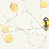 Il mio progetto del corso: Illustrazione naturalistica: acquerello in positivo e negativo. Traditional illustration, Fine Arts, Painting, Drawing, Watercolor Painting, Botanical Illustration, and Naturalistic Illustration project by Federica Usai - 10.05.2022