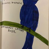My project for course: Illustrated Life Journal: A Daily Mindful Practice. Fine Arts, Sketching, Creativit, Drawing, and Sketchbook project by spp4 - 10.05.2022