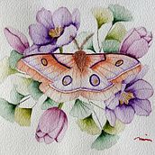 My project for course: Naturalist Illustrations with Watercolors: Drawing and Composition. Traditional illustration, Drawing, Watercolor Painting, and Naturalistic Illustration project by vbarbolado - 10.05.2022