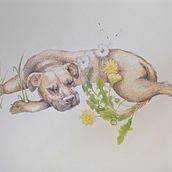 My project for course: Surrealist Illustration Inspired by Nature Ein Projekt aus dem Bereich Traditionelle Illustration, Bleistiftzeichnung, Zeichnung, Artistische Zeichnung, Naturalistische Illustration und Zeichnen mit Buntstiften von Robyn Hampson - 06.10.2022