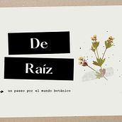 De Raíz. Communication, Photograph, Floral, Plant Design, and Botanical Illustration project by Luciana Speroni - 10.06.2022