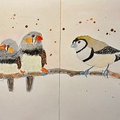 My project for course: Artistic Watercolor Techniques for Illustrating Birds. Un progetto di Illustrazione tradizionale, Pittura ad acquerello, Disegno realistico e Illustrazione naturalistica di Caroline Chung-Wipff - 06.10.2022