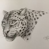 Traditional. Portrait Drawing project by Stephane Crayssac - 02.02.2017