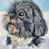 Mon projet du cours : Portraits expressifs d'animaux à l'aquarelle. Watercolor Painting, Traditional illustration, Realistic Drawing, and Naturalistic Illustration project by Victoria Alicia PHELTS Ramos - 10.09.2022