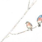 Illustrazione naturalistica: acquerello in positivo e negativo. Traditional illustration, Painting, Drawing, Watercolor Painting, Naturalistic Illustration, Botanical Illustration, and Fine Arts project by Federica Usai - 10.10.2022