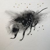 My project for course: Illustrating the Natural World with Watercolor and Charcoal. Traditional illustration, Painting, and Naturalistic Illustration project by Patricia Hillis - 10.08.2022
