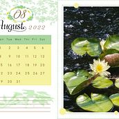 August Calendar 2022. Design project by Audrey Chai - 10.10.2022