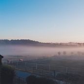 Mecklenburger Seenplatte  . % sabinewellisch tarafından hazırlanan Fotoğrafçılık projesi - 09.10.2022