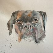 Mon projet du cours : Portraits expressifs d'animaux à l'aquarelle. Traditional illustration, Watercolor Painting, Realistic Drawing, and Naturalistic Illustration project by Julie Philip - 10.11.2022
