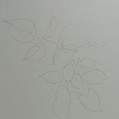 Mi proyecto del curso: Dibujo botánico realista en acuarela. Un proyecto de Diseño, Ilustración tradicional, Bellas Artes, Pintura, Pintura a la acuarela e Ilustración botánica de mrherasfortuny - 12.10.2022