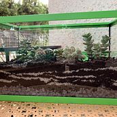 Mi terrario de cactus y suculentas . Interior Design, L, scape Architecture, Decoration, DIY, Floral, and Plant Design project by Virginia Marsiu - 10.12.2022