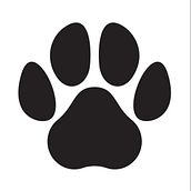 HI-PAW. UX / UI, Information Design, Cop, writing, and App Design project by joanaffribeiro - 10.07.2022