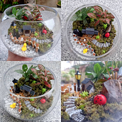 My project for course: Plant Art: Create Your Own Open Terrarium . Interior Design, L, scape Architecture, Decoration, DIY, Floral, and Plant Design project by Kath Seah - 10.13.2022