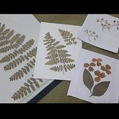 My project for course: Basic Botanical Pressing Techniques. Artesanato, Artes plásticas, Colagem, DIY, e Design floral e vegetal projeto de Connie So - 13.10.2022