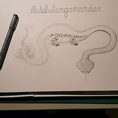 De nieuw samengestelde dieren. Een project van Traditionele illustratie van Jeroen Martens - 15.10.2022