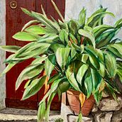 Mi proyecto del curso: Pintura realista al óleo: el color en la vegetación. Artes plásticas, Pintura, Pintura a óleo e Ilustração naturalista projeto de Pascale Colin - 16.10.2022