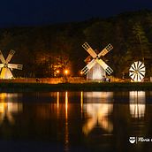 My project for course: Beginner’s Photography: Basic Camera Use and Theory. Photograph, Digital Photograph, and Photographic Composition project by Marian-Florin Ciurea - 10.16.2022