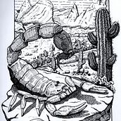 Meu projeto do curso: Ilustração com tinta e bico de pena: registre o mundo natural. Un proyecto de Bocetado, Dibujo, Dibujo artístico, Sketchbook, Ilustración con tinta e Ilustración naturalista				 de Well Gama - 16.10.2022