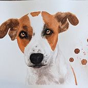 Mon projet du cours : Portraits expressifs d'animaux à l'aquarelle. Un progetto di Illustrazione tradizionale, Pittura ad acquerello, Disegno realistico e Illustrazione naturalistica di Mélissa Côté - 11.10.2022
